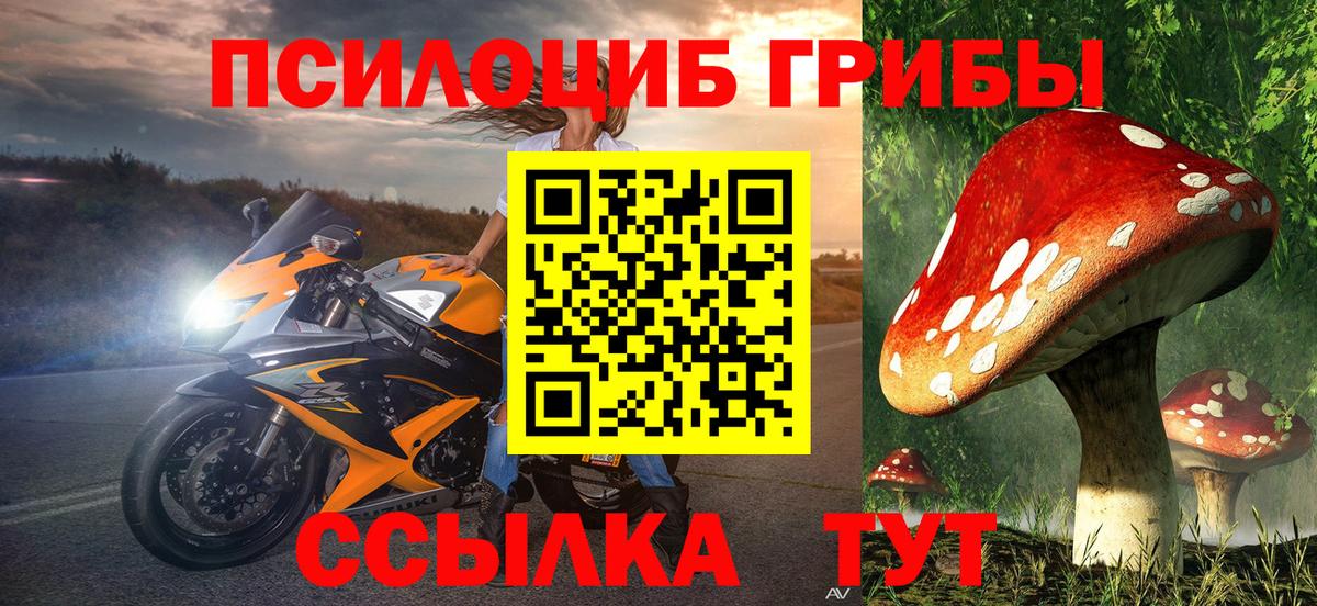 Галлюциногенные грибы Cubensis  Вход с VPN  Балашов 