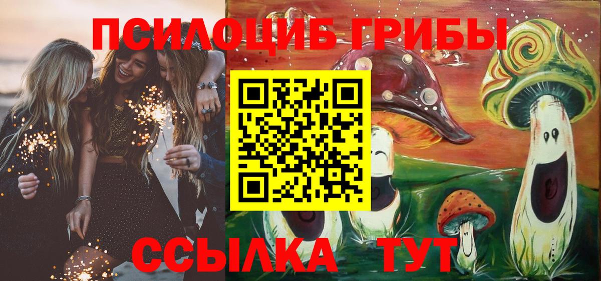 Псилоцибиновые грибы Psilocybine cubensis Балашов